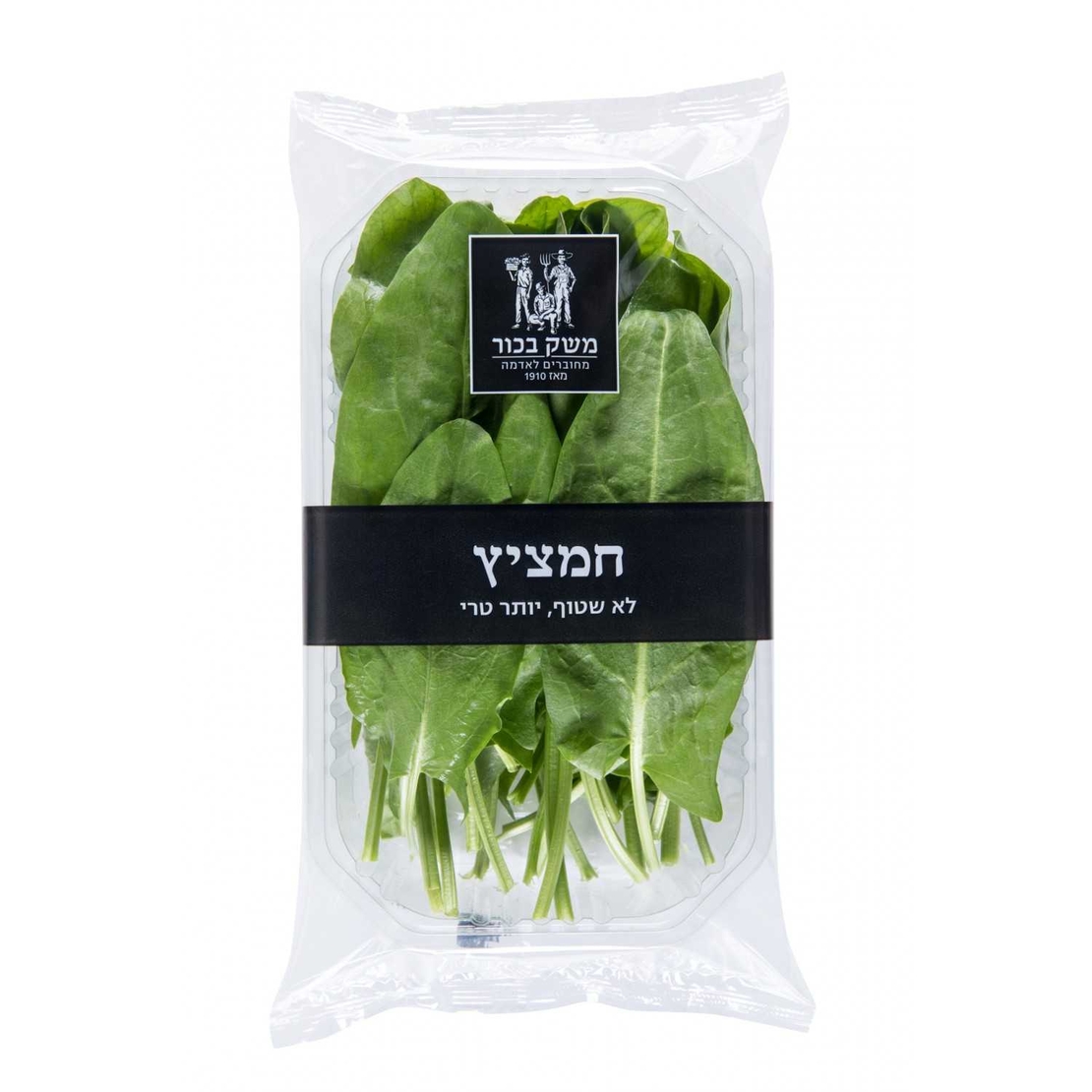 חמציץ