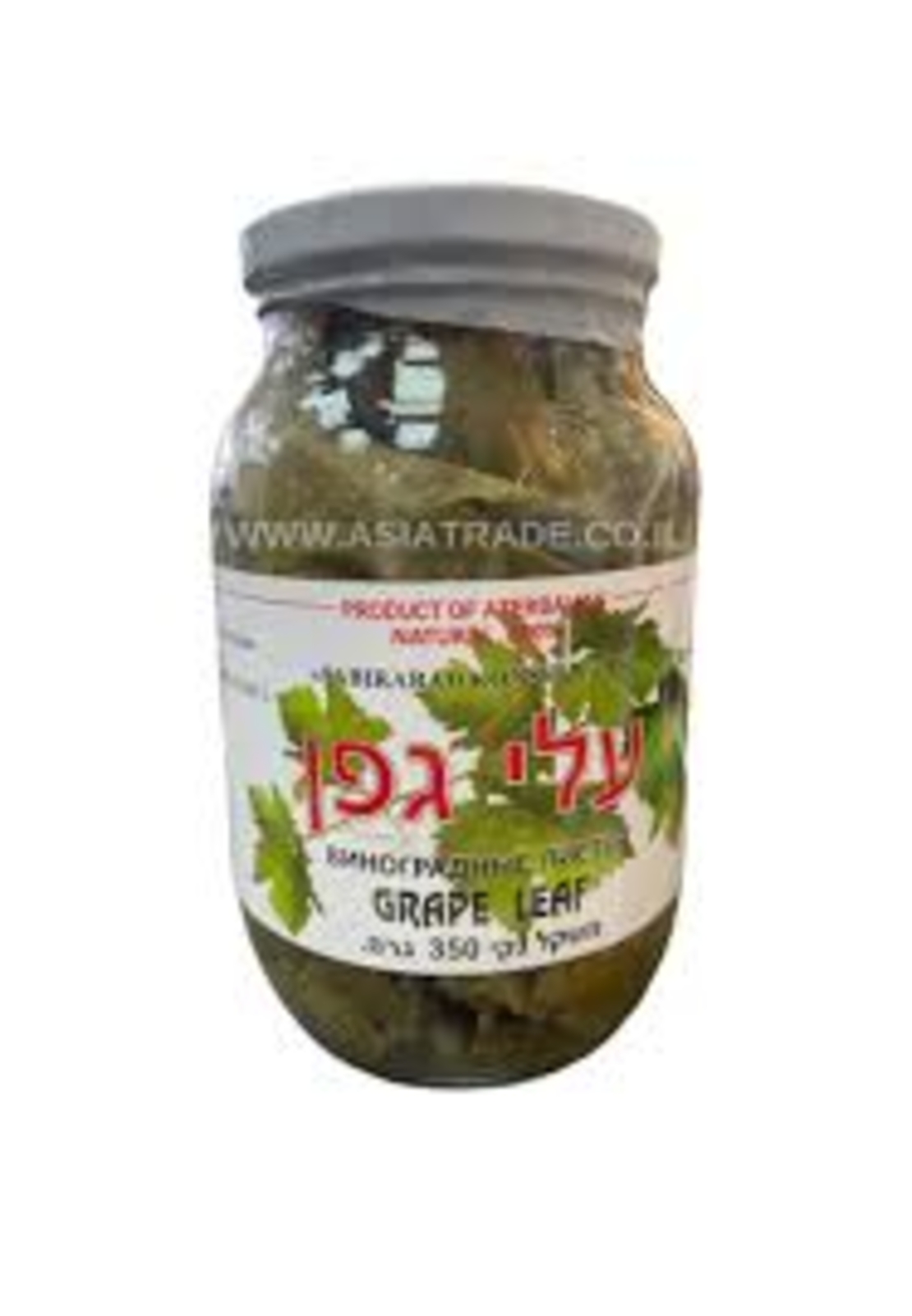 עלי גפן