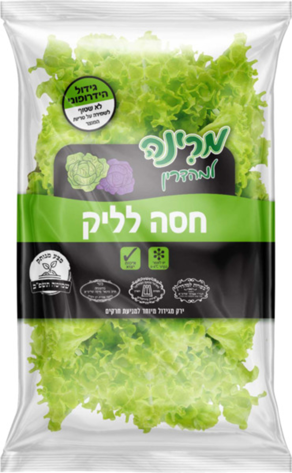 חסה לאליק