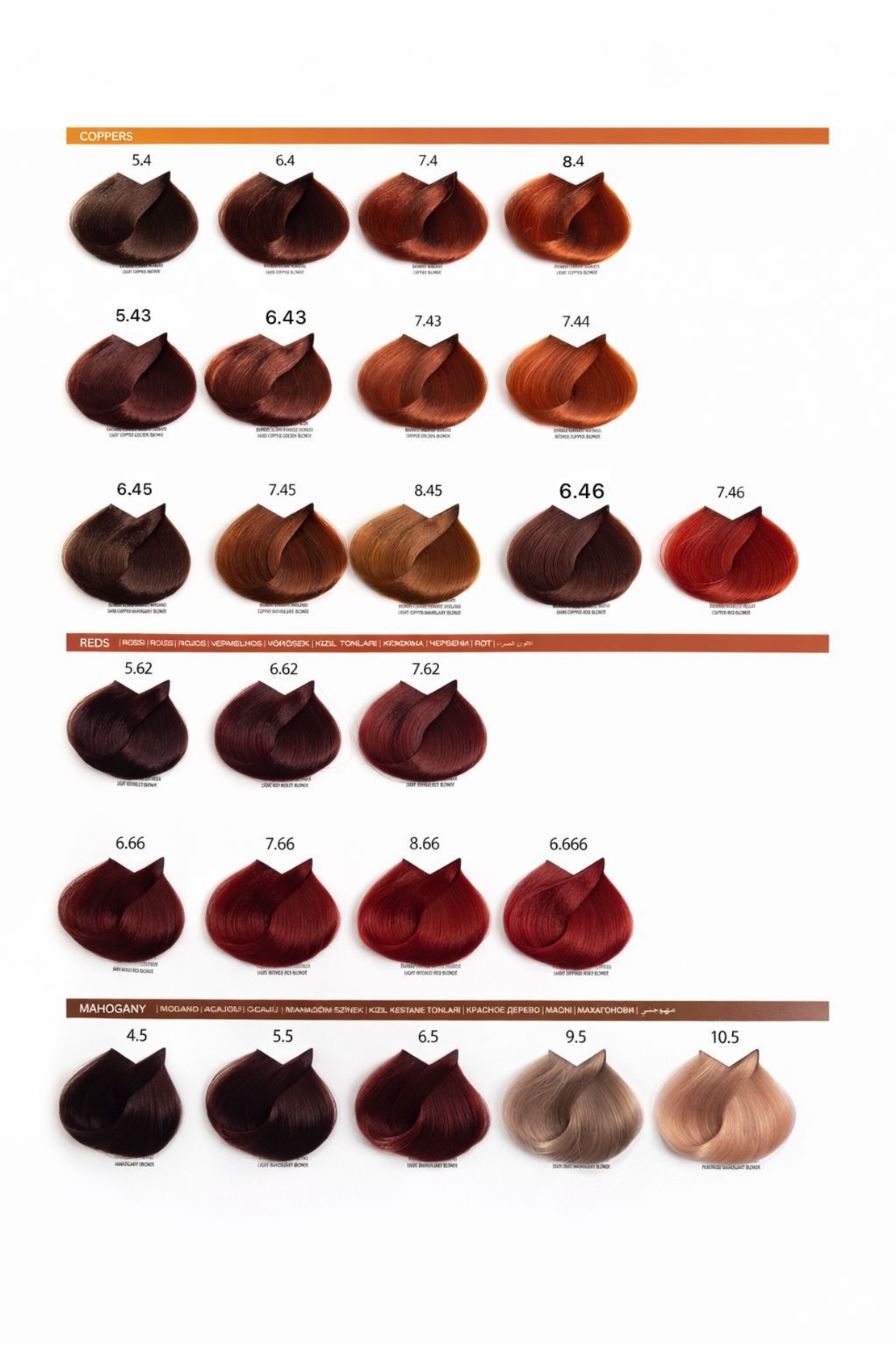 צבע לייף קולור- 100 גרם