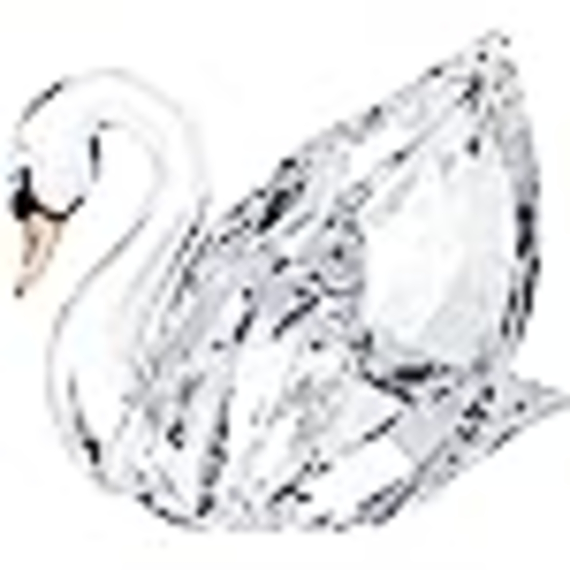 Medium Swarovski Swan - SWAN, MEDIUM