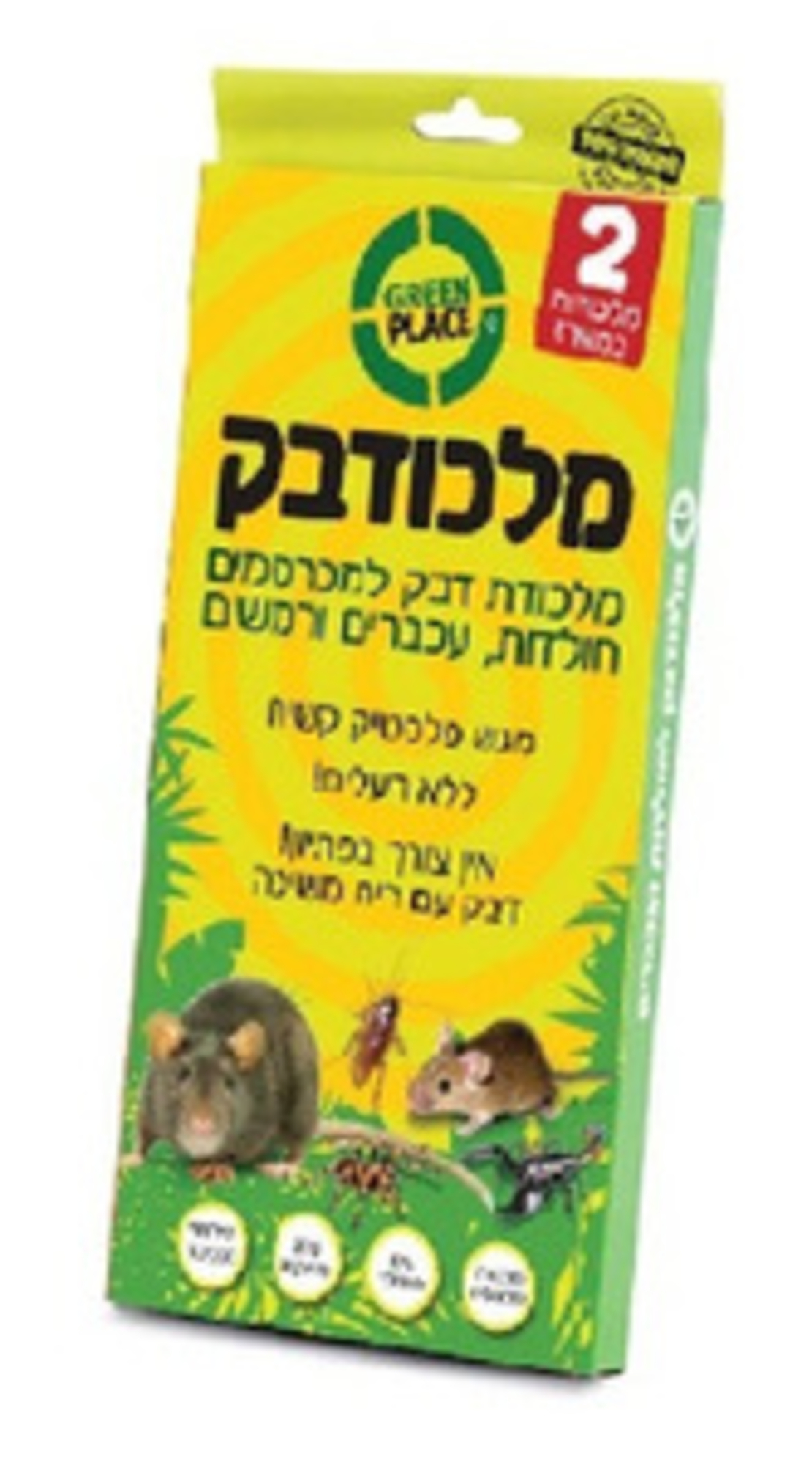 לכודת דבק לעכברים