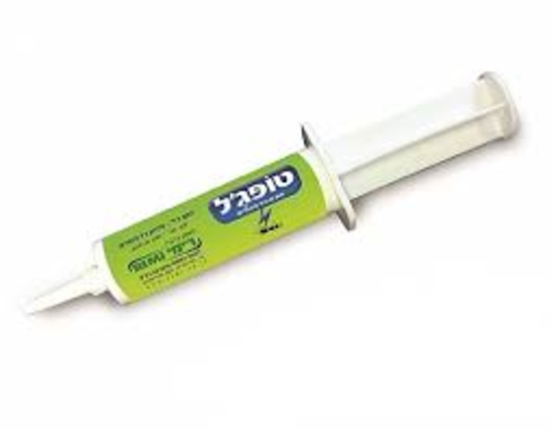 גל נמלים