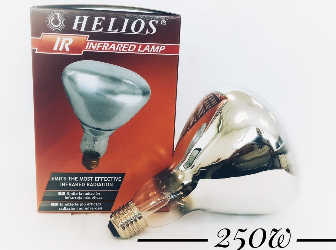 נורה אינפרא לבן  HELIOS 250W E27