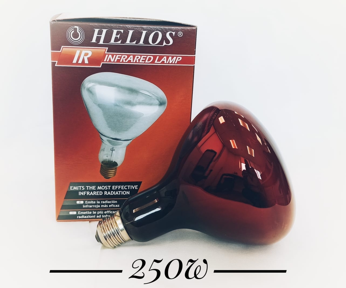 נורה אינפרא אדום - HELIOS 250W E27