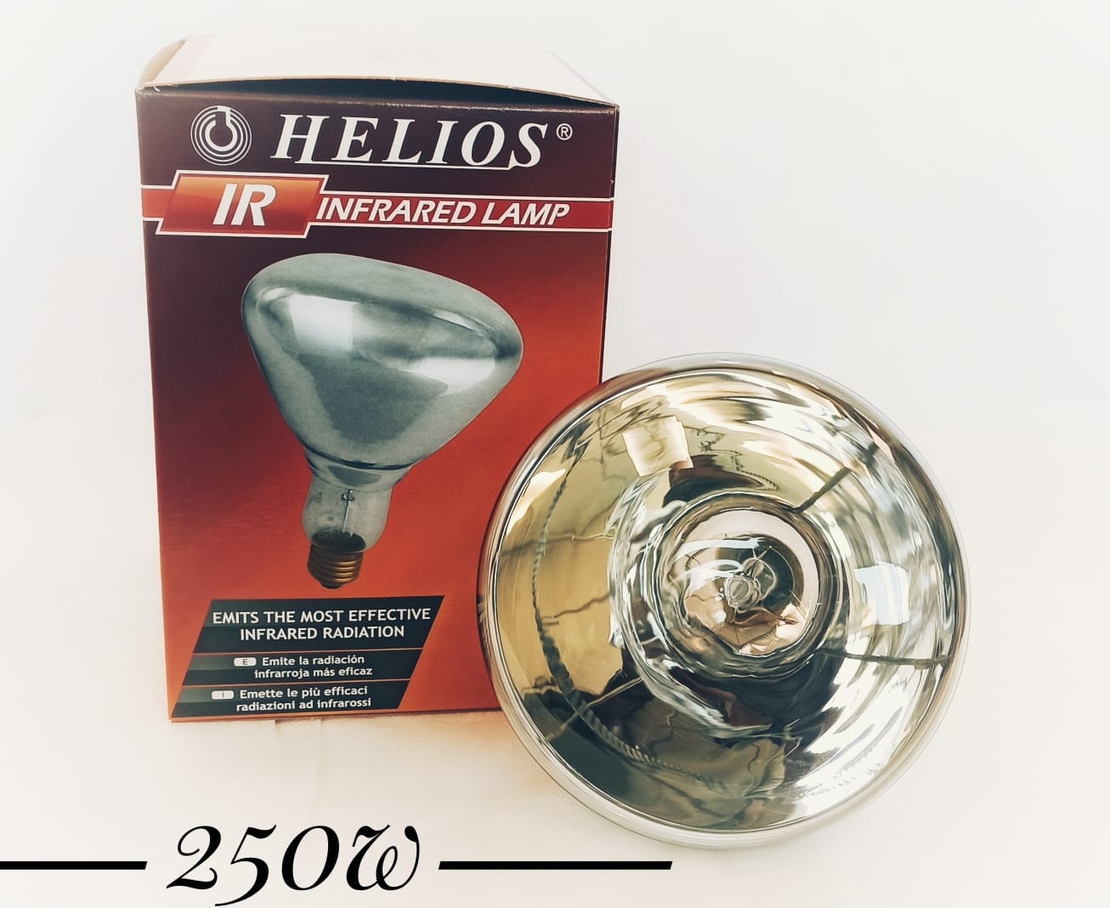 נורה אינפרא לבן  HELIOS 250W E27