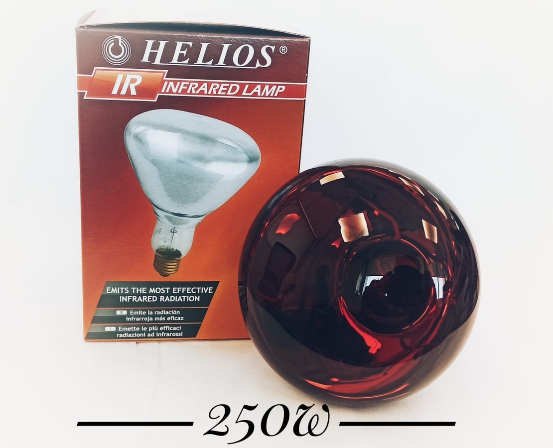 נורה אינפרא אדום - HELIOS 250W E27