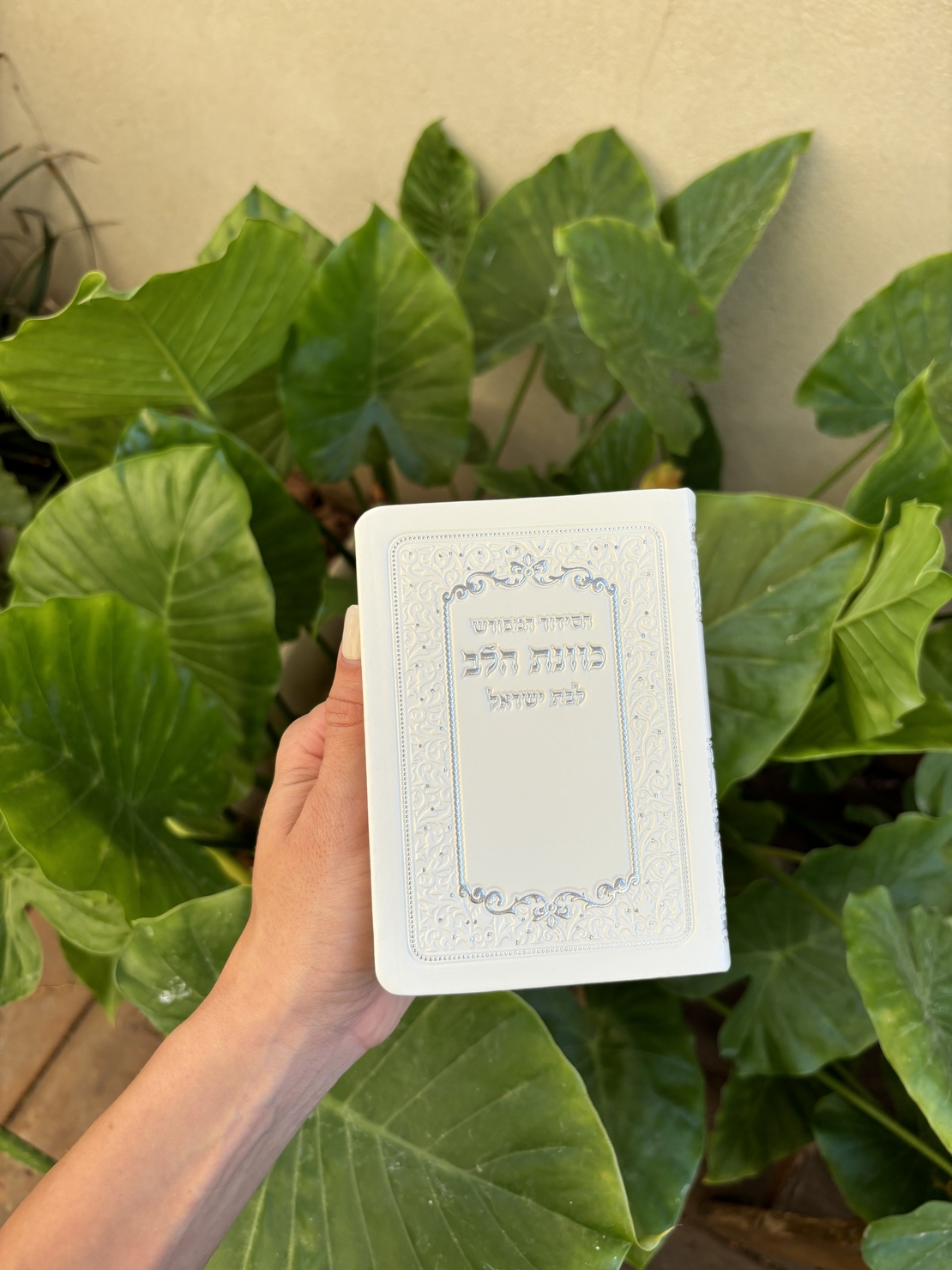 סידור כיס מהודר לבת ישראל לבן-שמנת גימור דפים כסוף 10*13