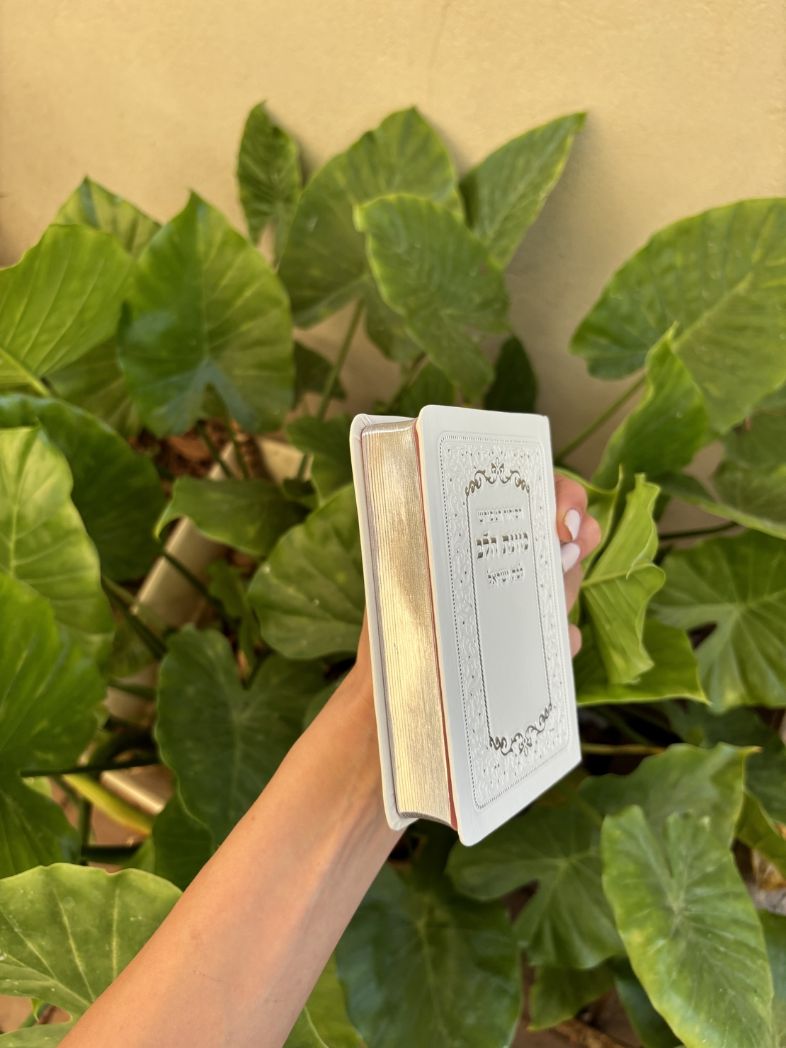 סידור כיס מהודר לבת ישראל לבן-שמנת גימור דפים כסוף 10*13