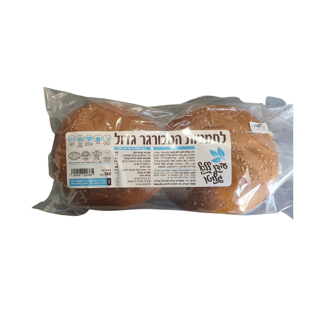לחמניות המבורגר גדול  (עידן ללא גלוטן)
