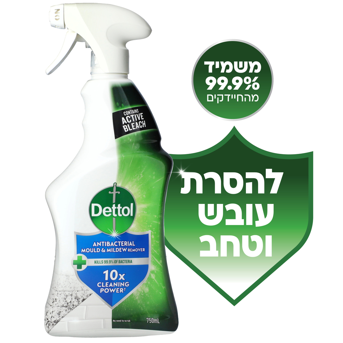 דטול תרסיס לניקיון עובש 750 מ