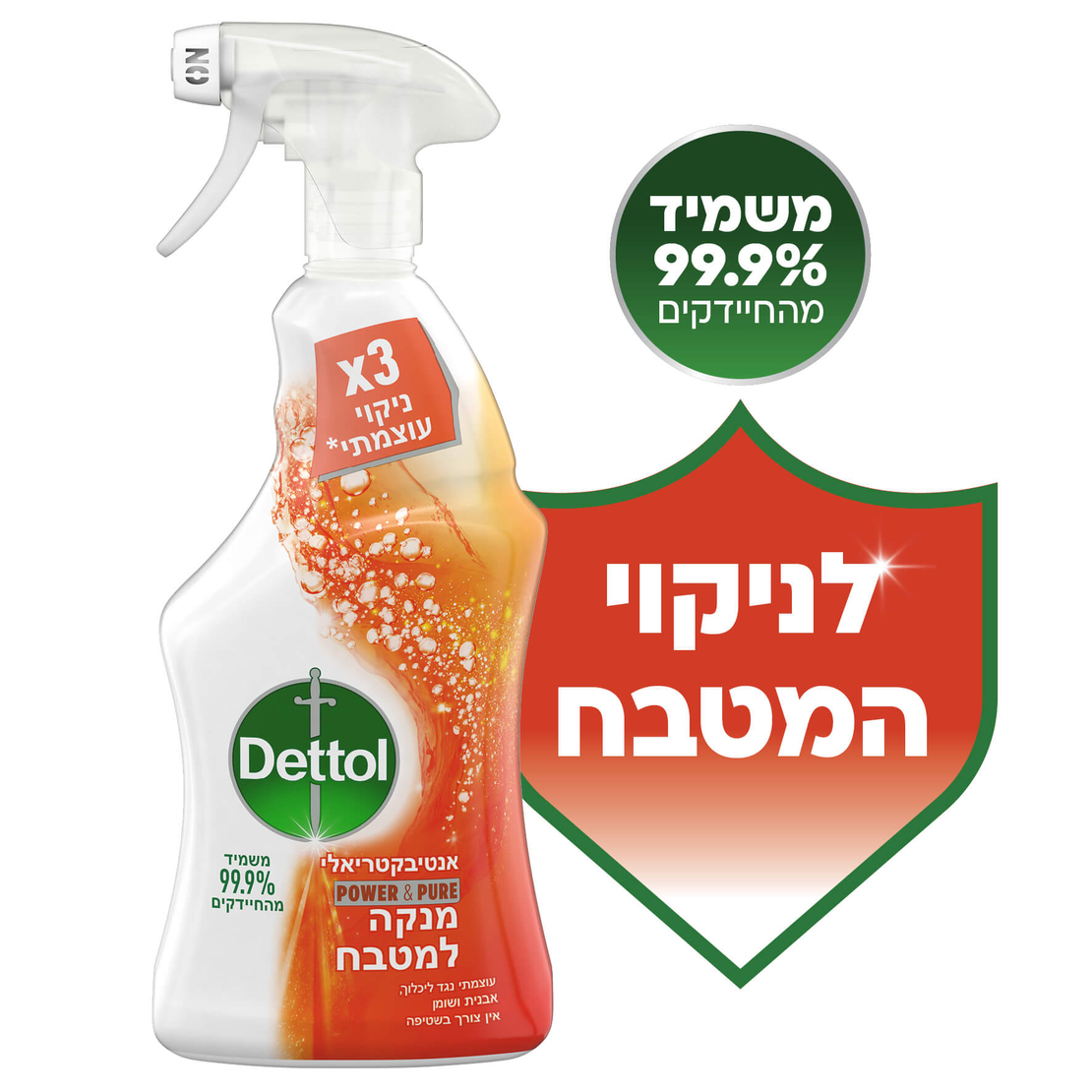 דטול תרסיס לניקיון המטבח 750 מ