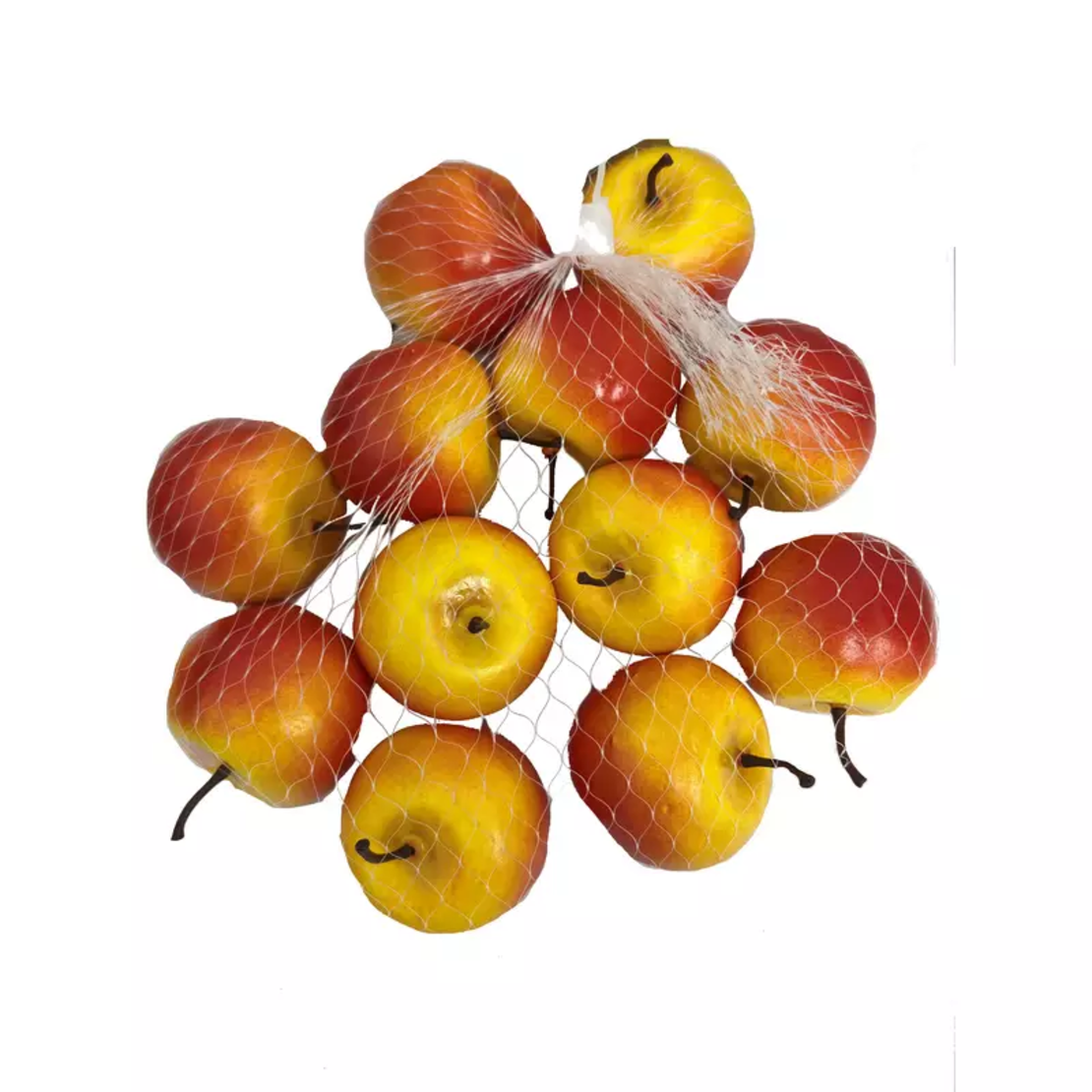 חב' 12 תפוח 5.5 ס