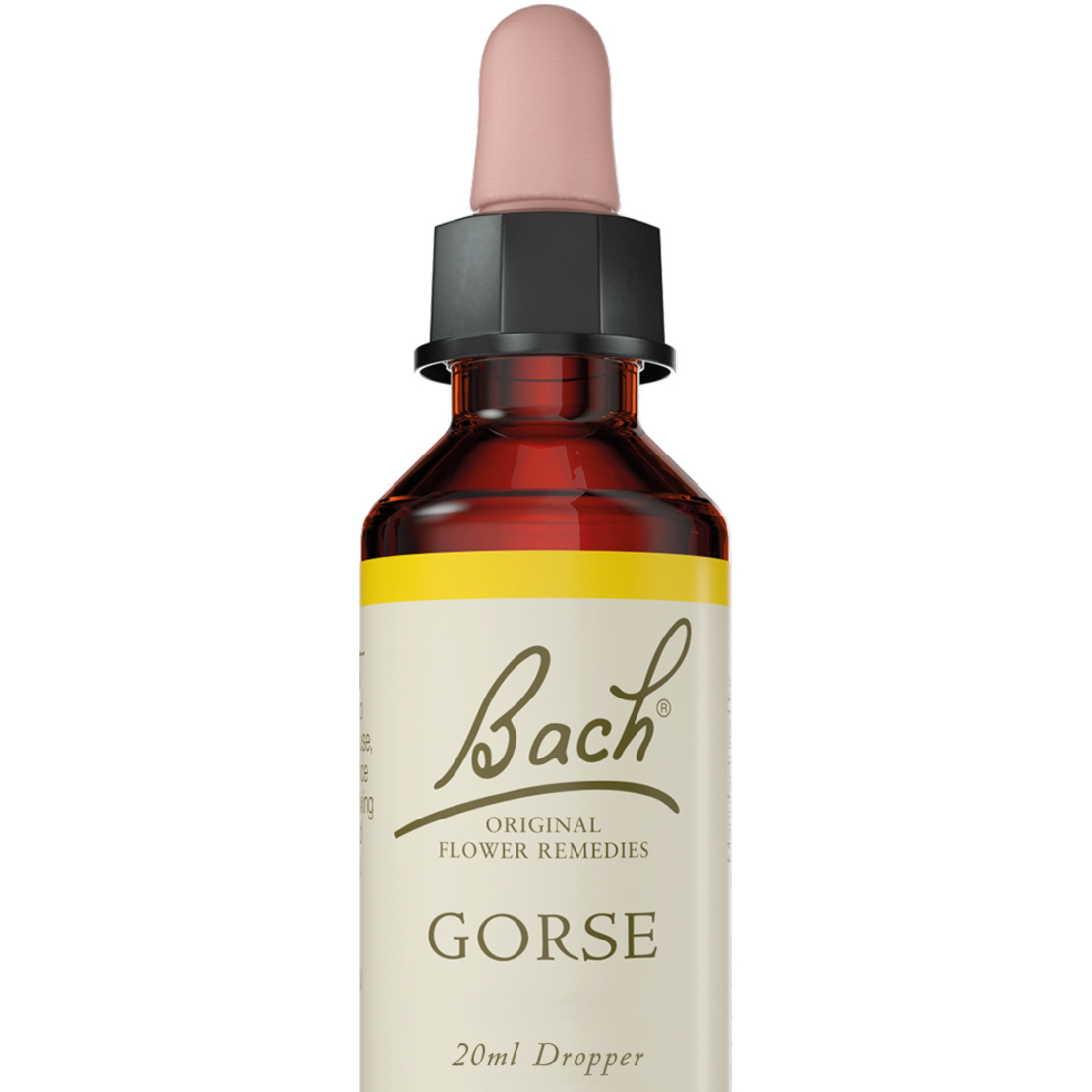 באך - תמצית גורס מס' 13 Bach Gorse