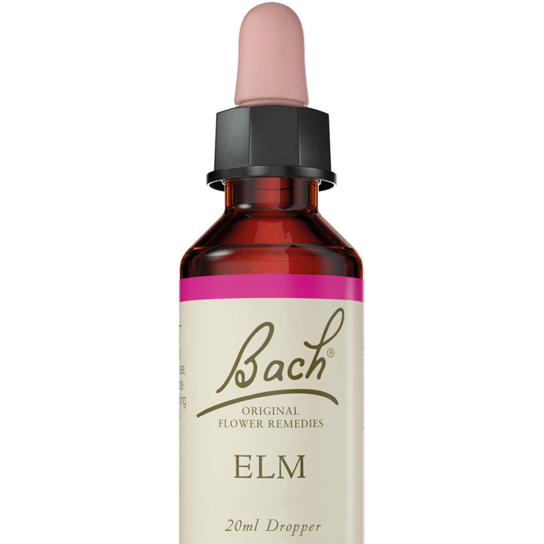 באך - תמצית אלם מס' 11 Bach Elm