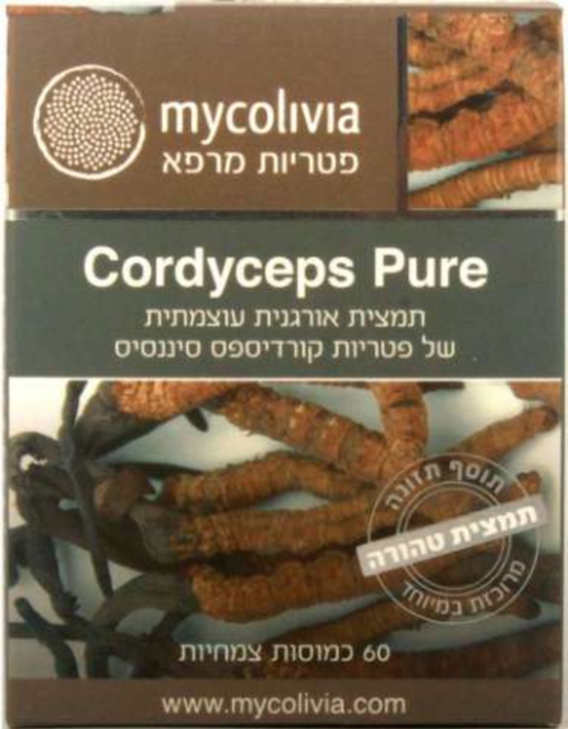 קורדיספס פיור - פטריית הקורדיספס Cordyceps Pure