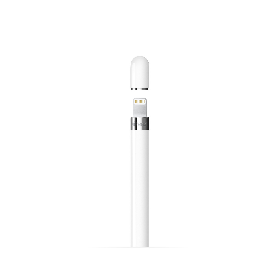 יבואן רשמי - Apple Pencil (1st generation)
