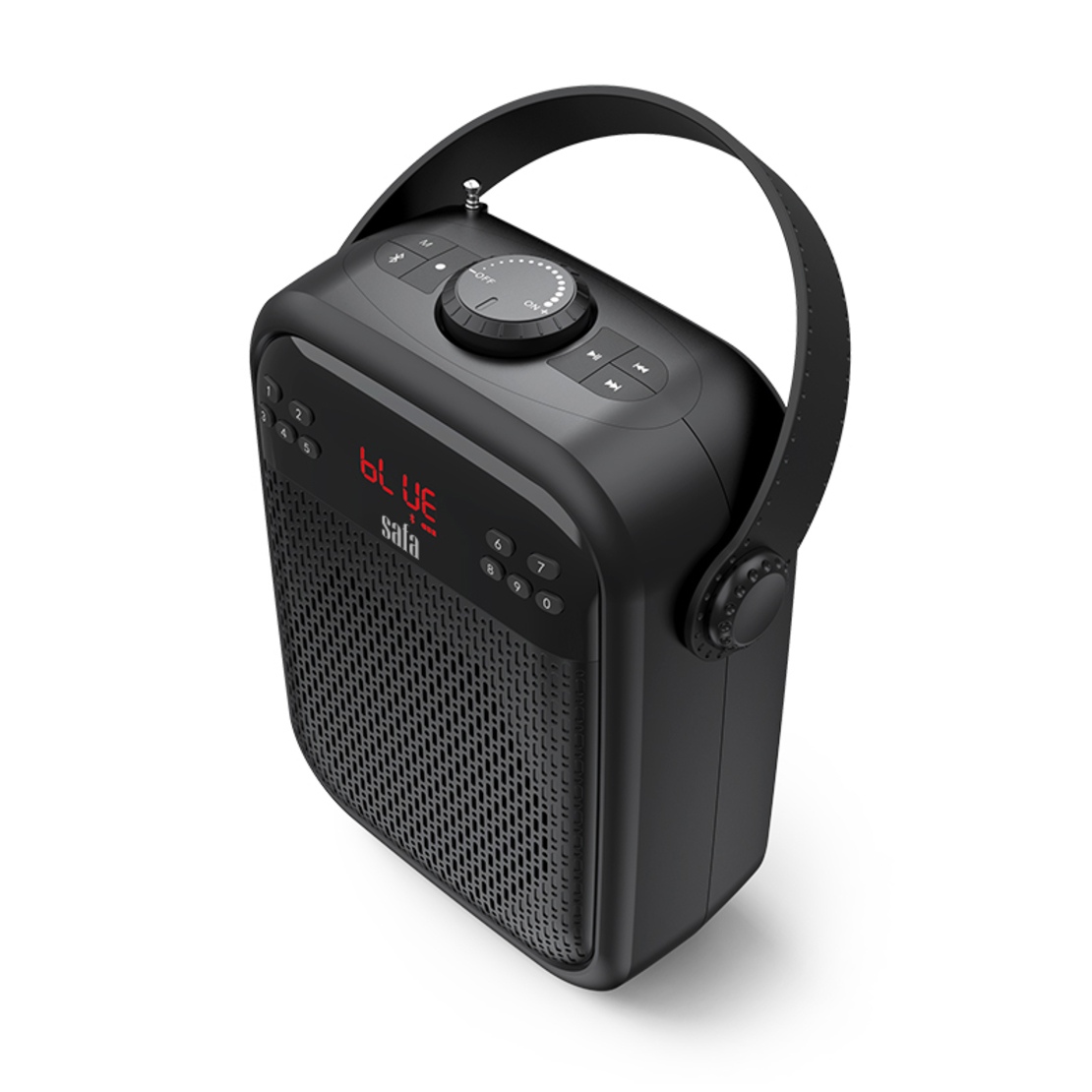 רמקול מדריכים מורים נטען נייד 35W עם מיקרופון מדונה אלחוטי + חוטי סאפה SAFA PRO T-6BT