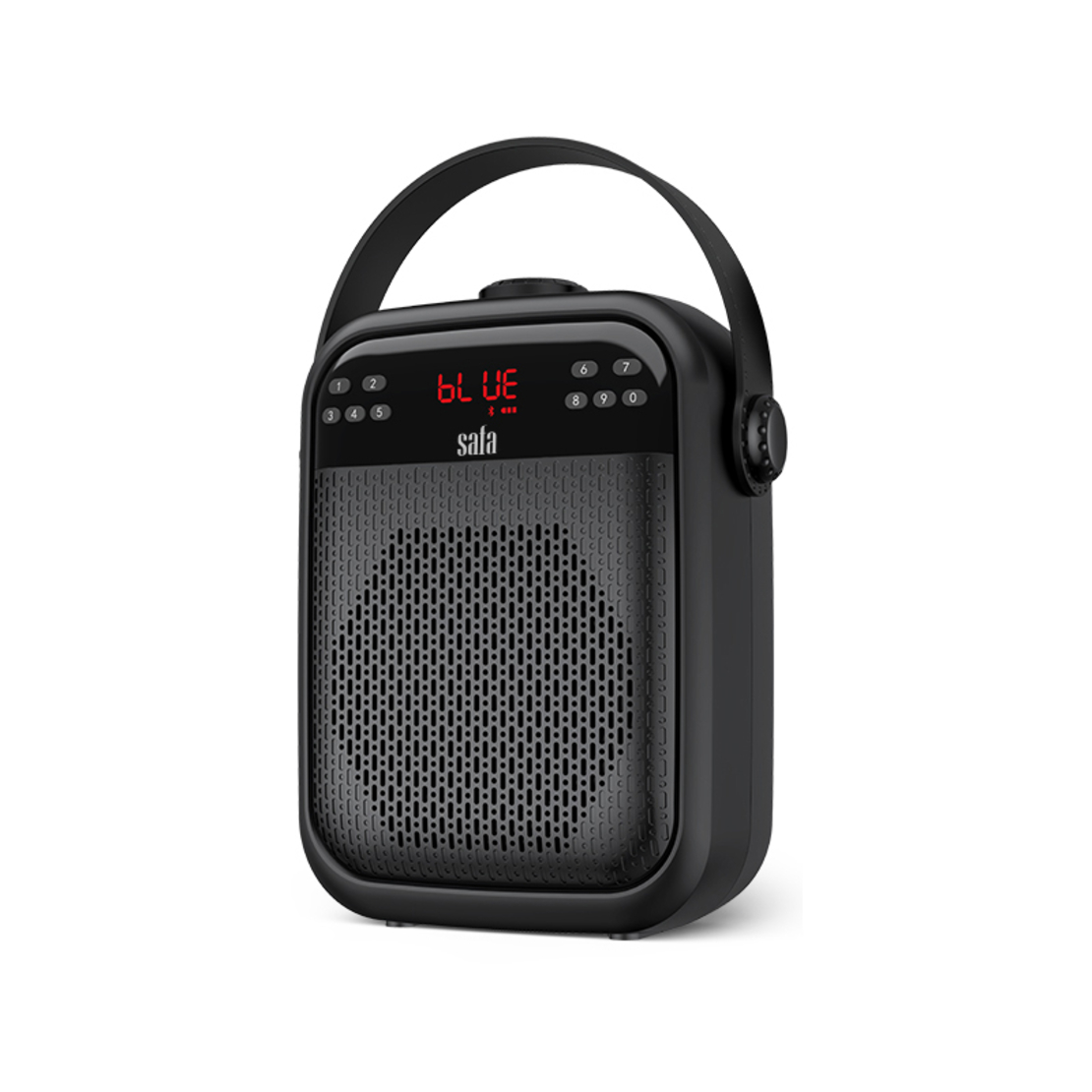 רמקול מדריכים מורים נטען נייד 35W עם מיקרופון מדונה אלחוטי + חוטי סאפה SAFA PRO T-6BT