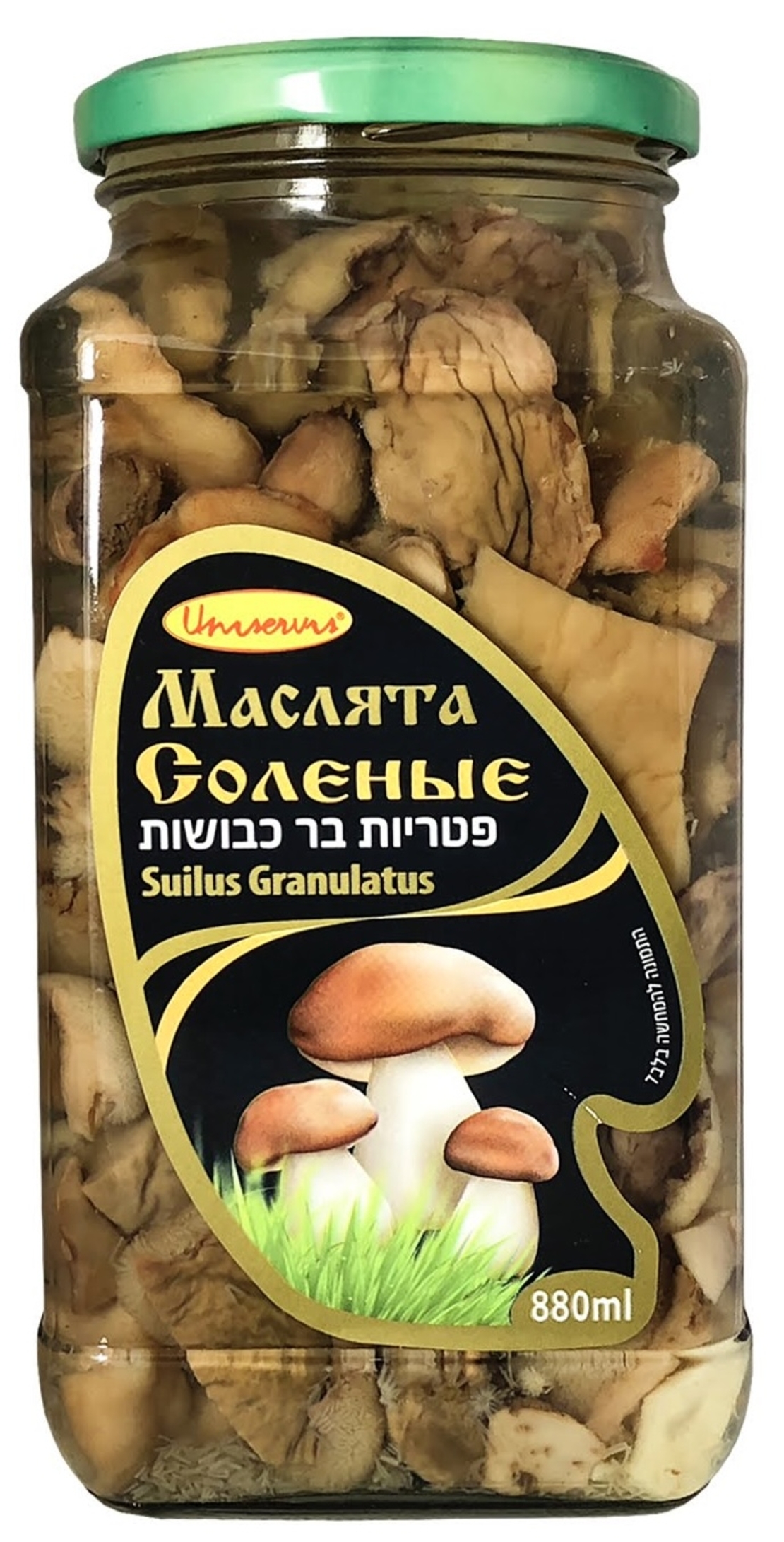 Маслята соленые