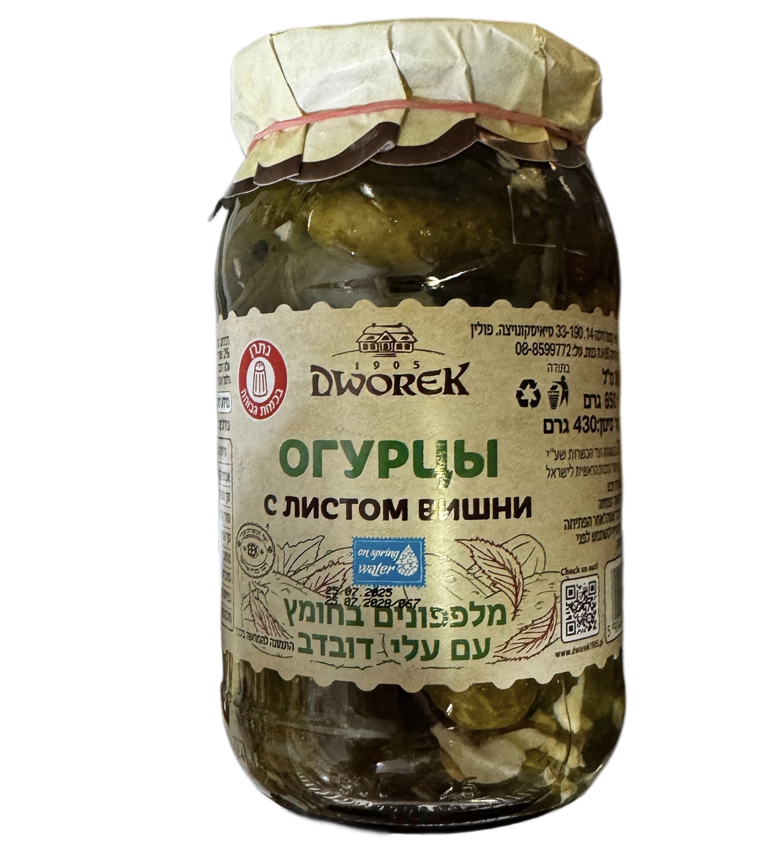 מלפפון בחומץ עם עלי דובדבן