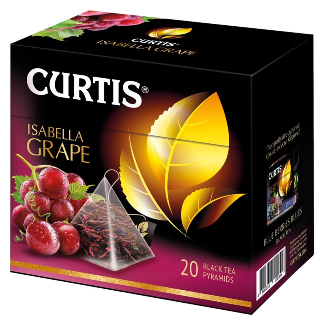 Curtis isabella grape 20 пирамидок