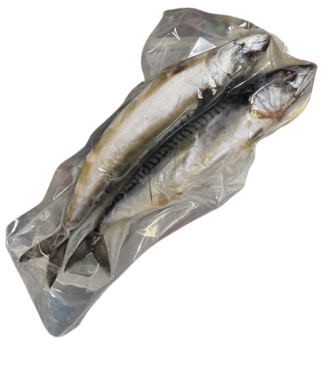 Свежемороженая скумбрия(крупная)