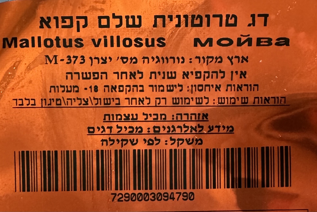 דג טרוטונית שלם