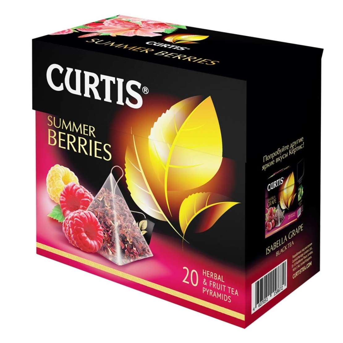 Curtis summer berries 20 pyramids