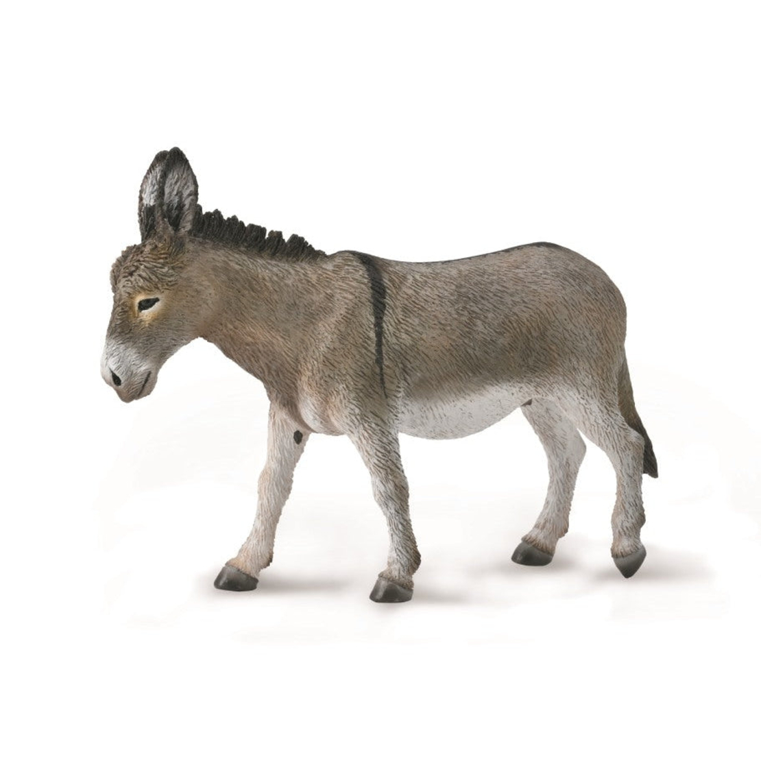 חמור (l)