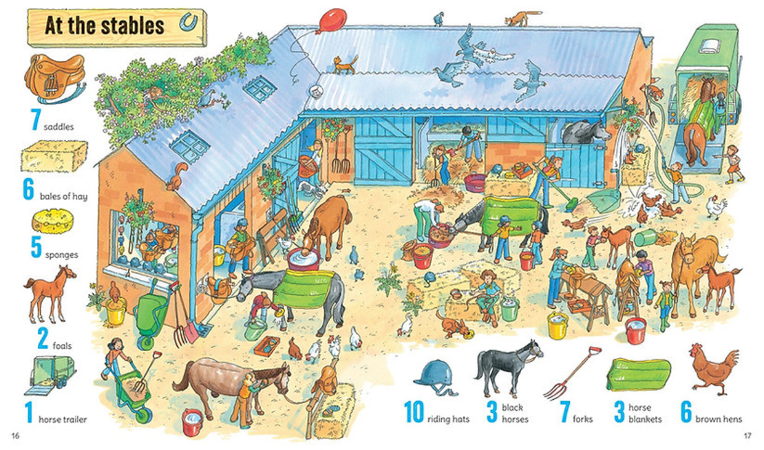 חפש ומצא 1001 דברים בחוה!