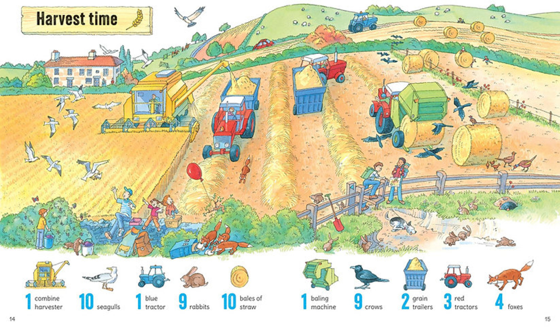 חפש ומצא 1001 דברים בחוה!