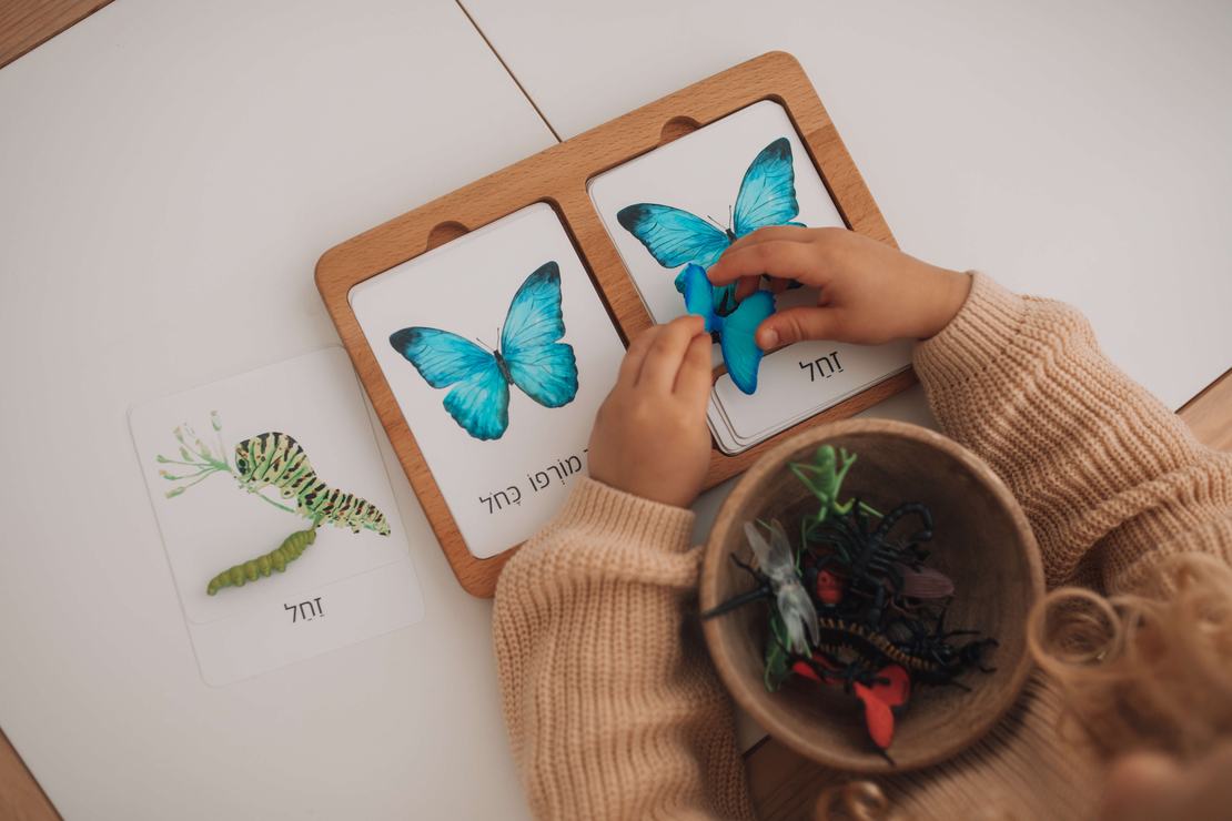 כרטיסיות 3 חלקים ומניאטורות