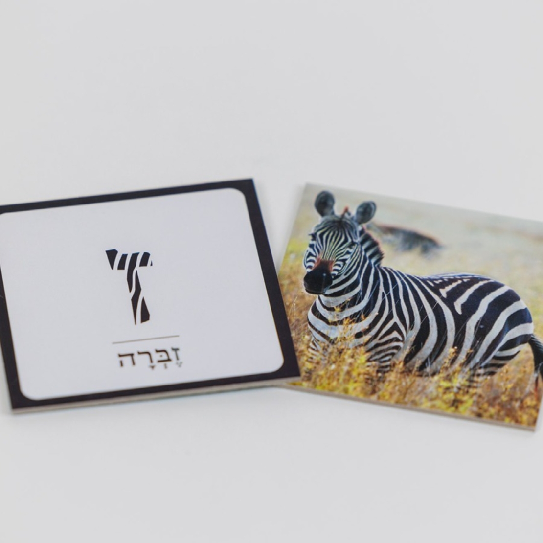 אותיות חיות- משחק זיכרון והרבה מעבר