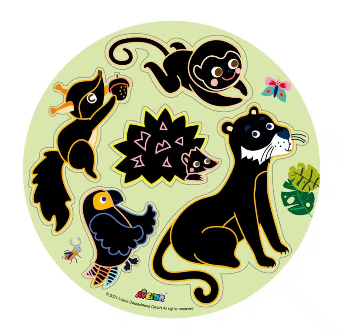 משחק חיות מגנטי לגירוד במארז מהודר