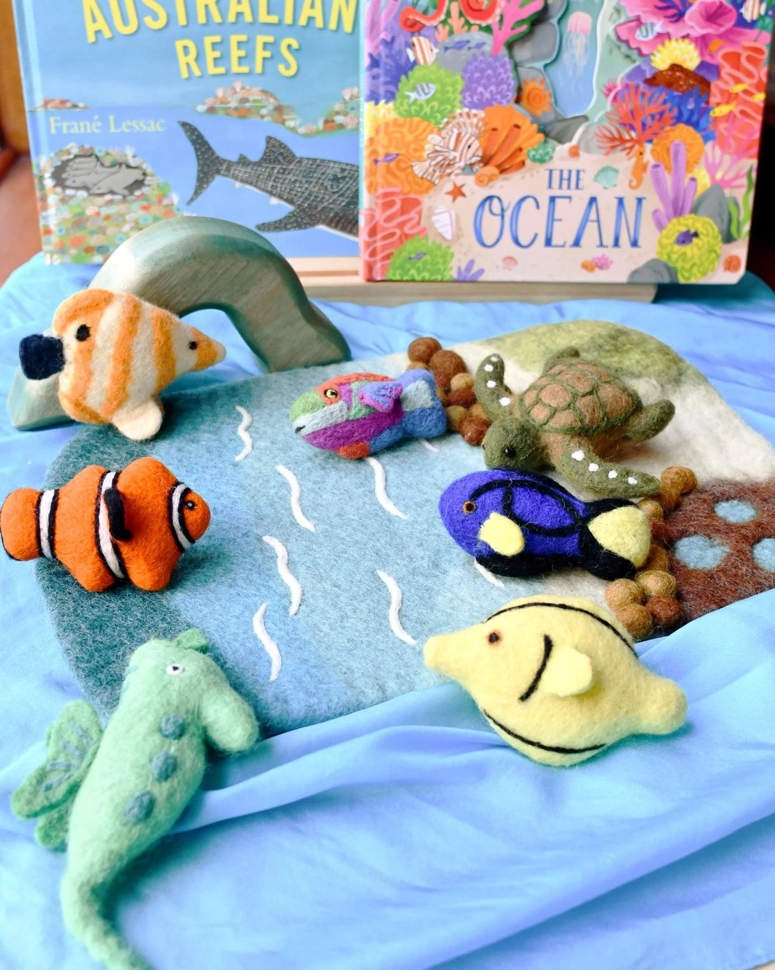 סט חי מקורל האלמוגים
