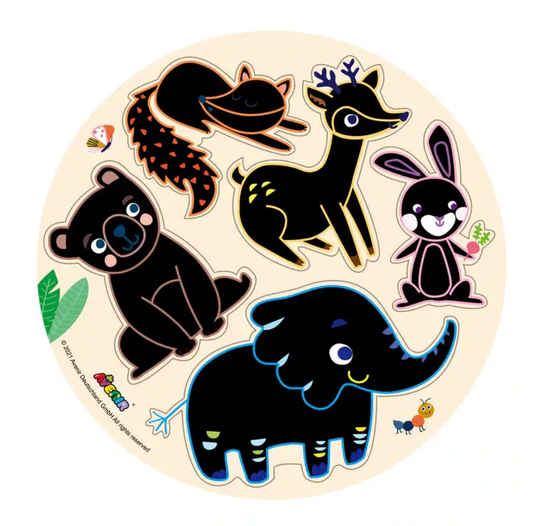 משחק חיות מגנטי לגירוד במארז מהודר