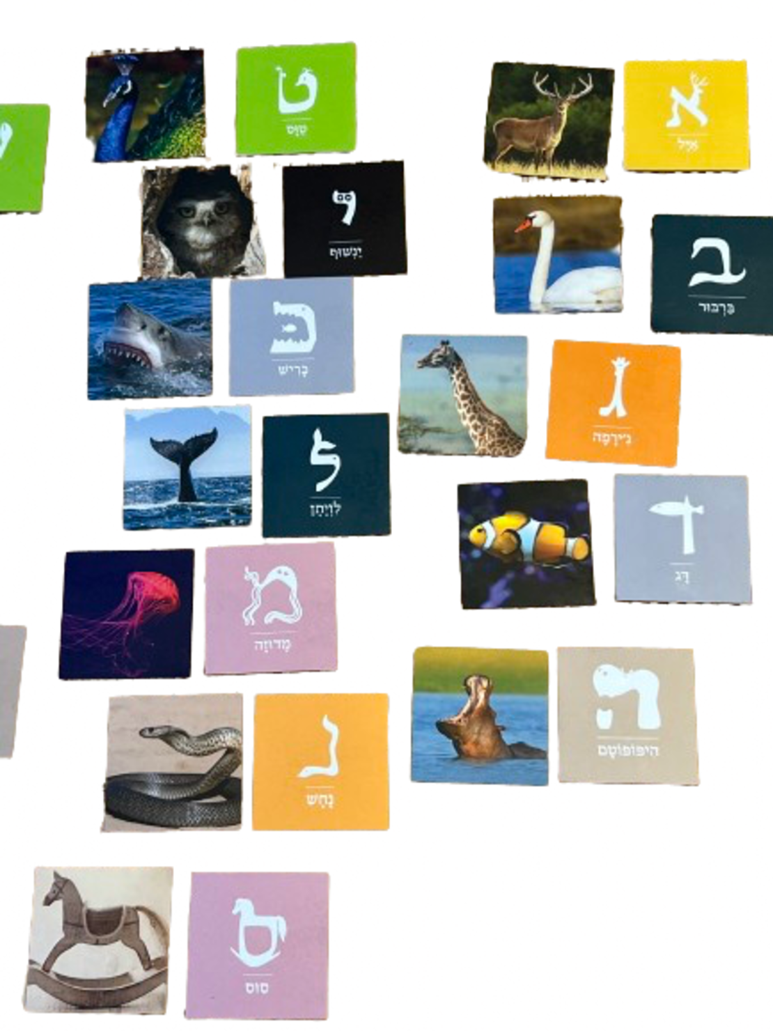 אותיות חיות- מגנטים