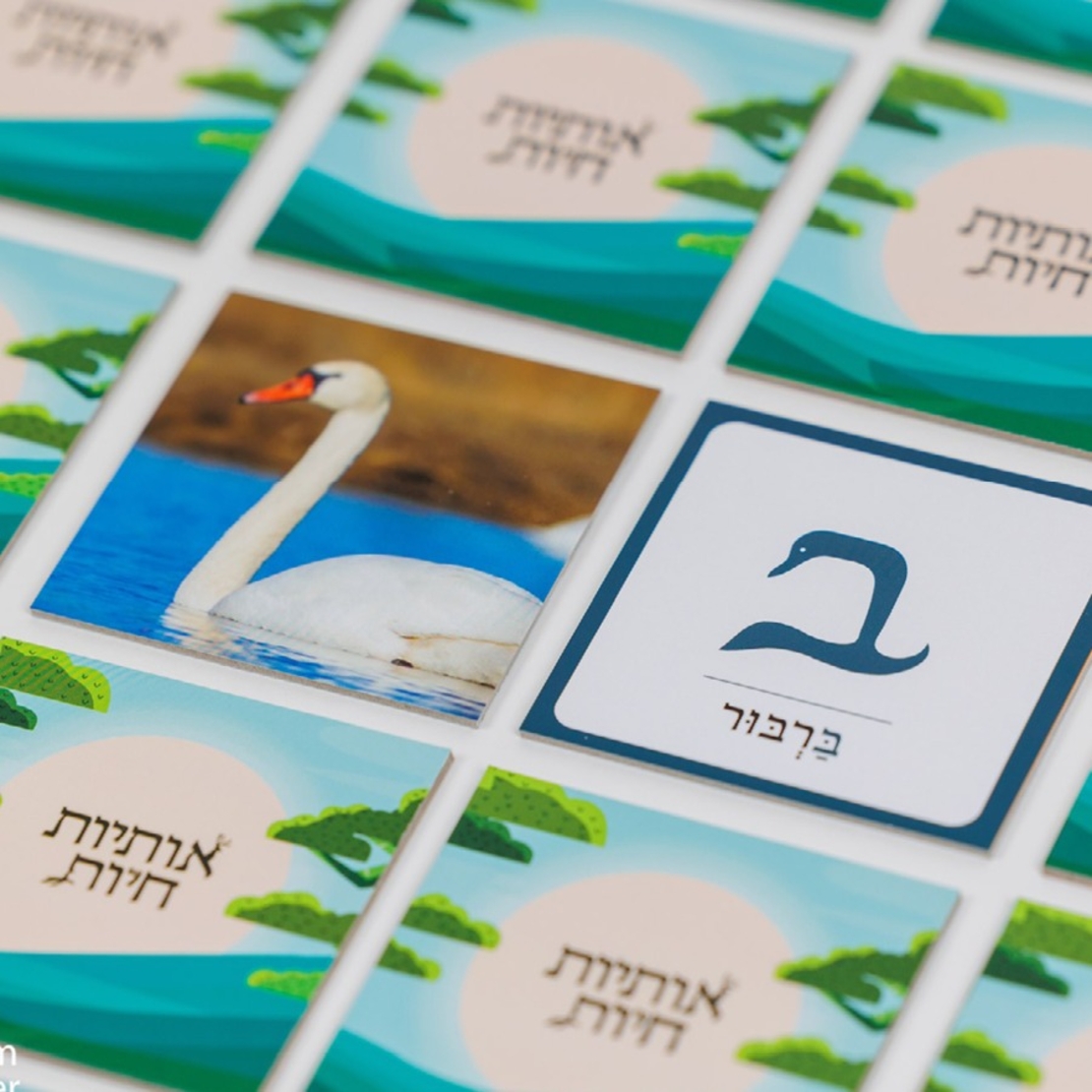 אותיות חיות- משחק זיכרון והרבה מעבר
