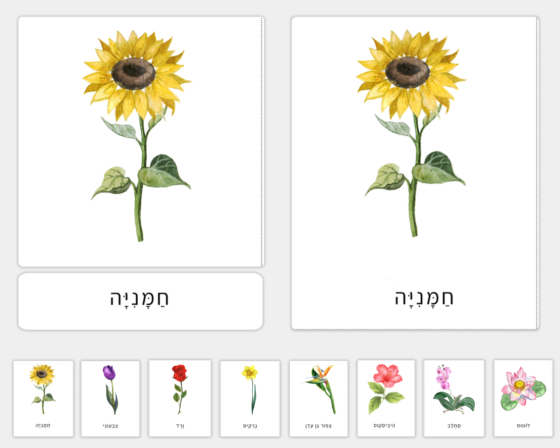 כרטיסיות בנושא פרחים
