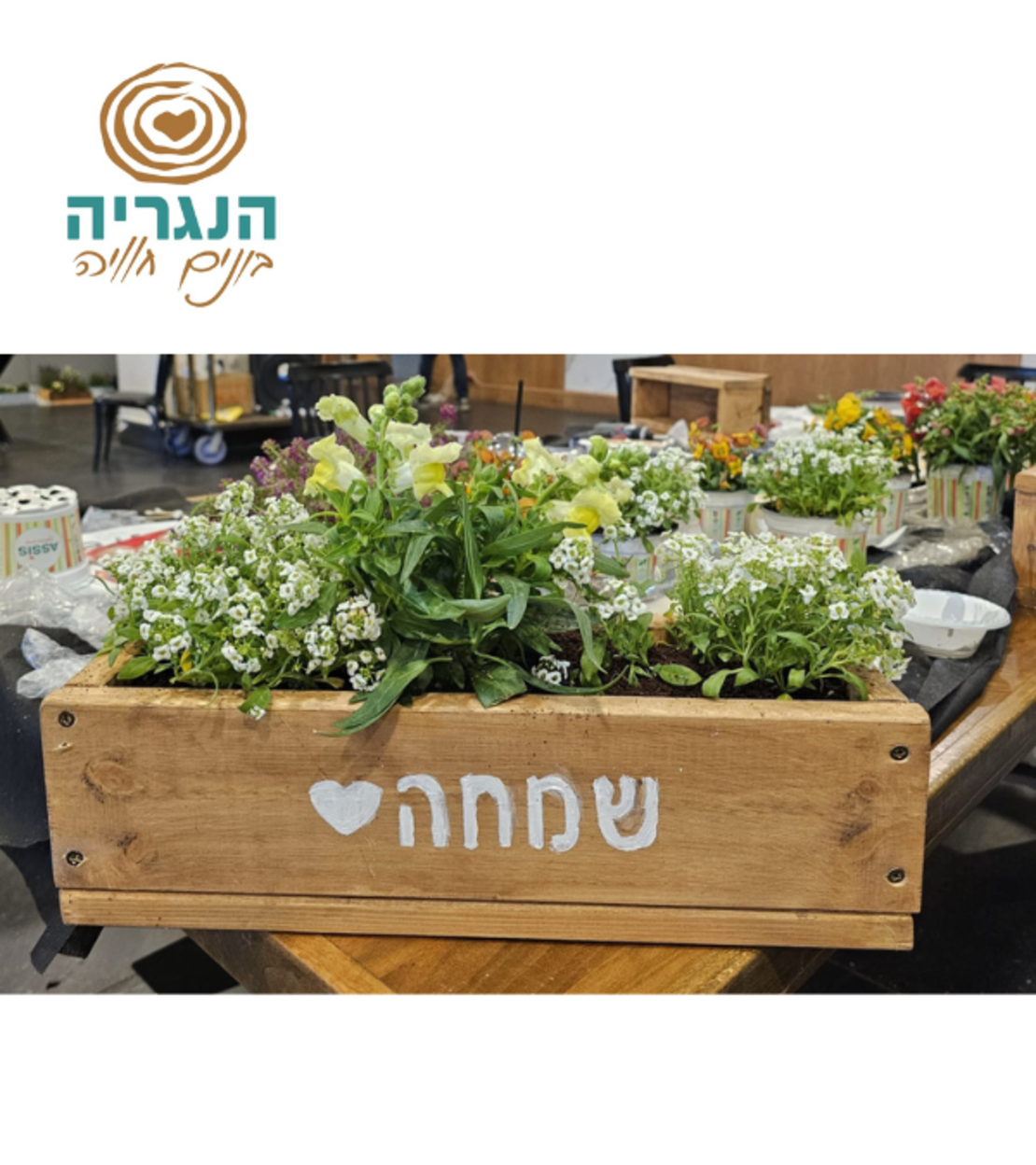 ערכת 