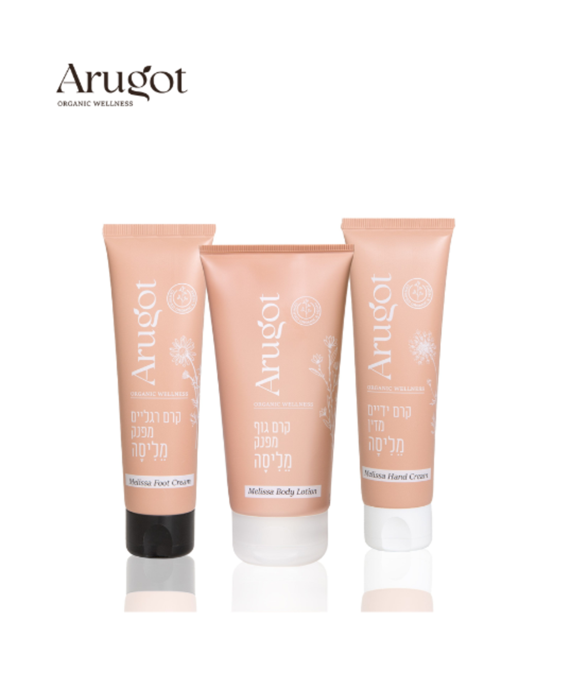 ערכה לטיפוח הגוף – שלישית מליסה