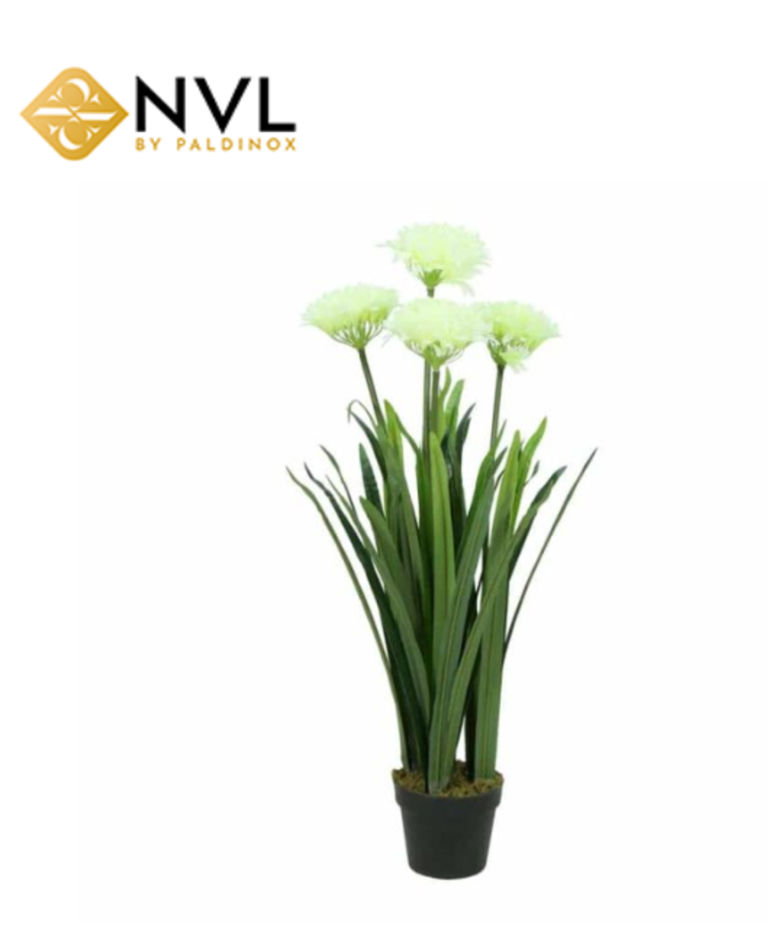 X4796 עציץ יחיד ציפורן לבן