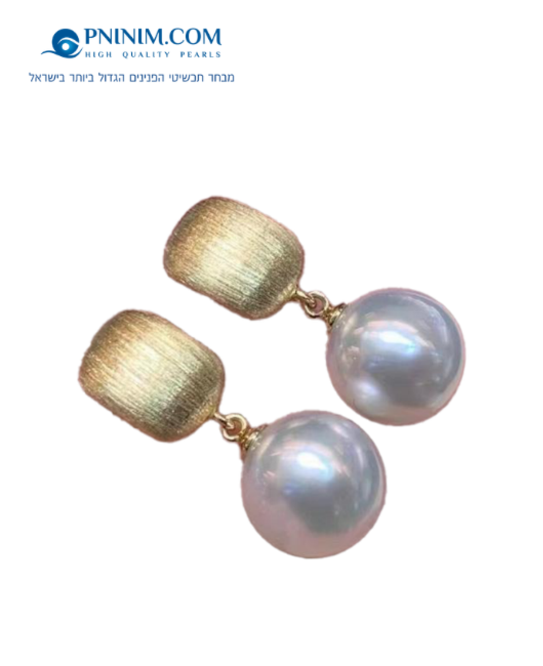 עגיל בגימור מט זהב 18K פנינה 8 ממ עגולה EFZ2101-8