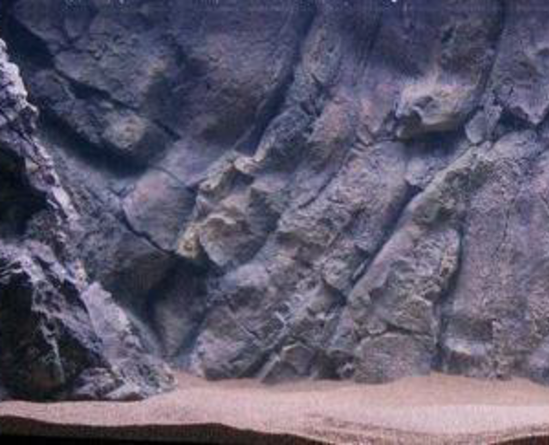 רקע תלת מימד סלעי דגם בורנאו 200X80 אקווריסטיק Aquarium Rocky 3D background Model Borneo