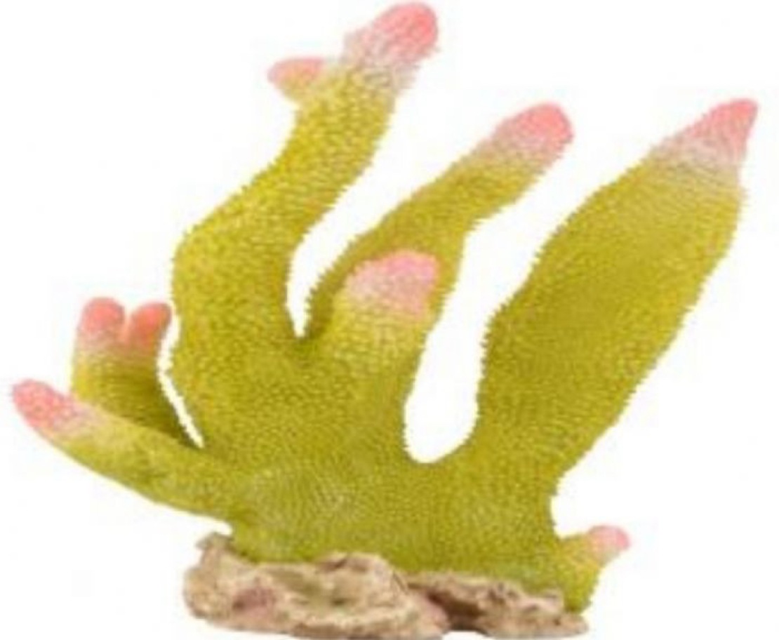 דקורציה אלמוג דגם HCL 191 למים מלוחים ומתוקים - Coral decoration model HCL 191 for salt and fresh water