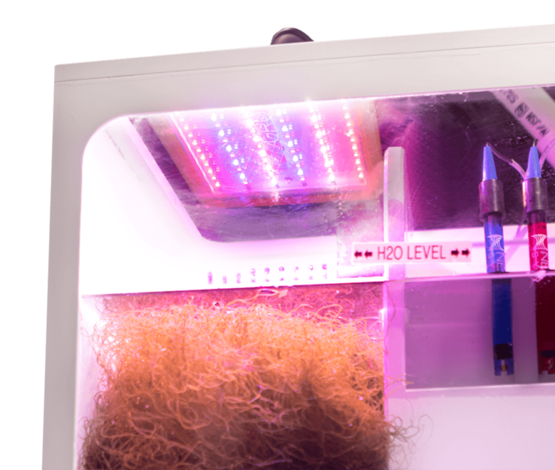 גרו תאורה לרפיוגים אצות נפטון סיסטמס - Neptune Systems GRO - Macroalgae Refugium Light