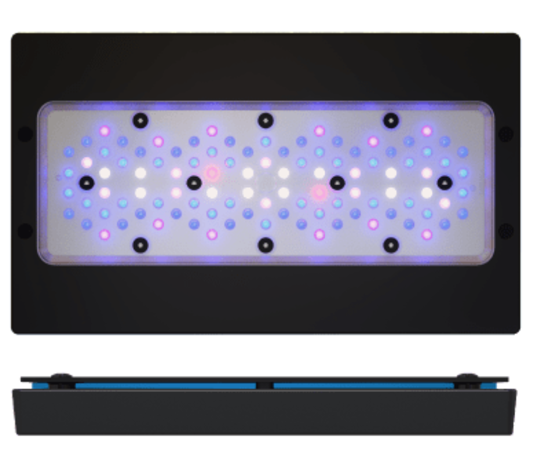 תאורת לד רדיון XR30 G6 BLUE 215W אקוטק מרין - ECOTECH MARINE Radion XR30 G6 BLUE Led lighting