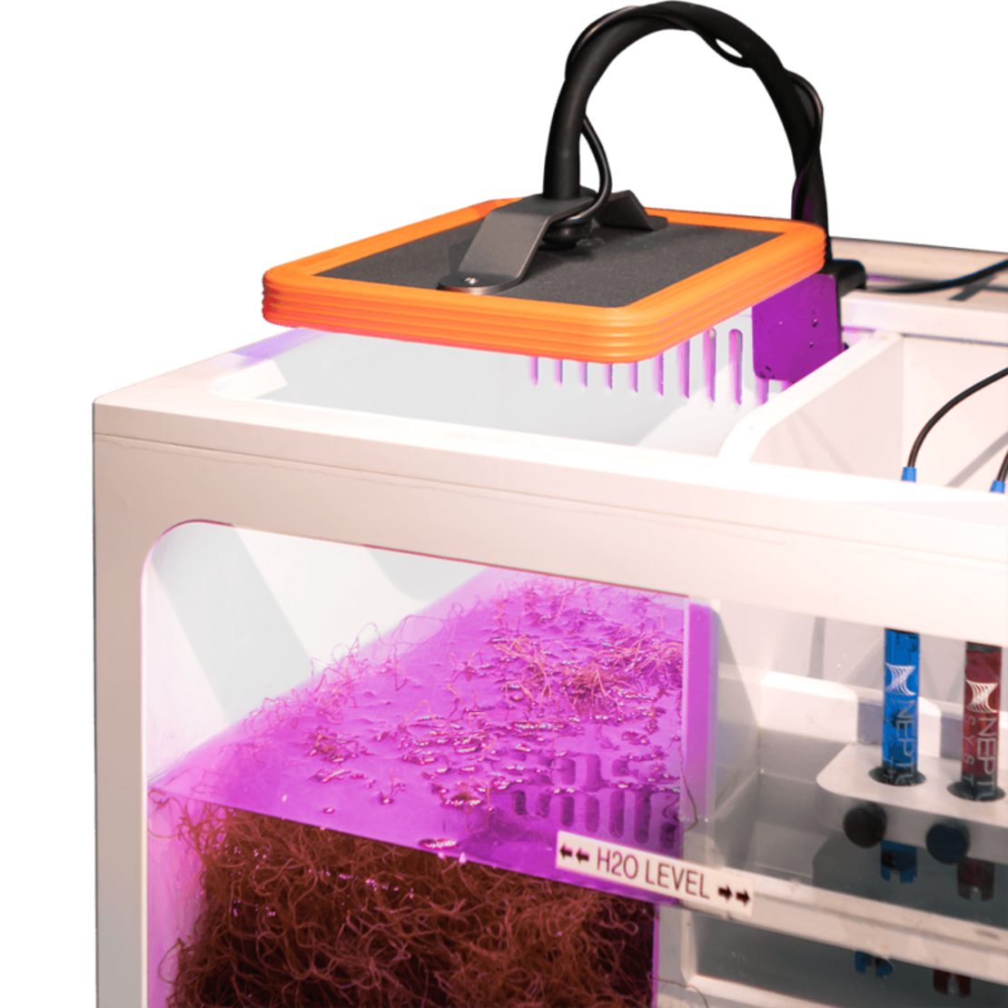 גרו תאורה לרפיוגים אצות נפטון סיסטמס - Neptune Systems GRO - Macroalgae Refugium Light
