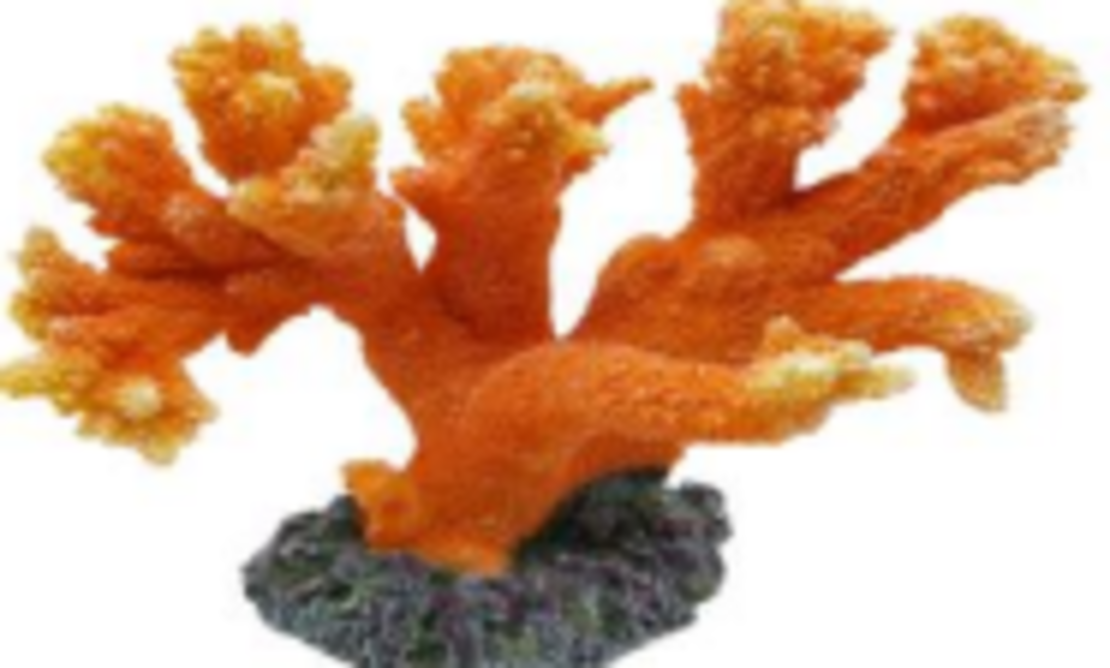 דקורציה אלמוג דגם SH 442 O מלוחים ומתוקים - Coral decoration model SH 442 O for salt and fresh watert